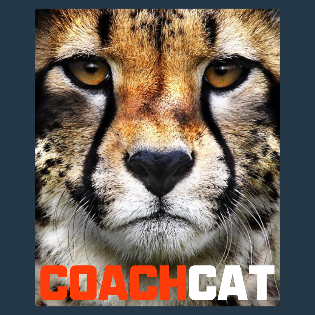 AI Coaching - Instant Workout Analysis, introducing CoachCat