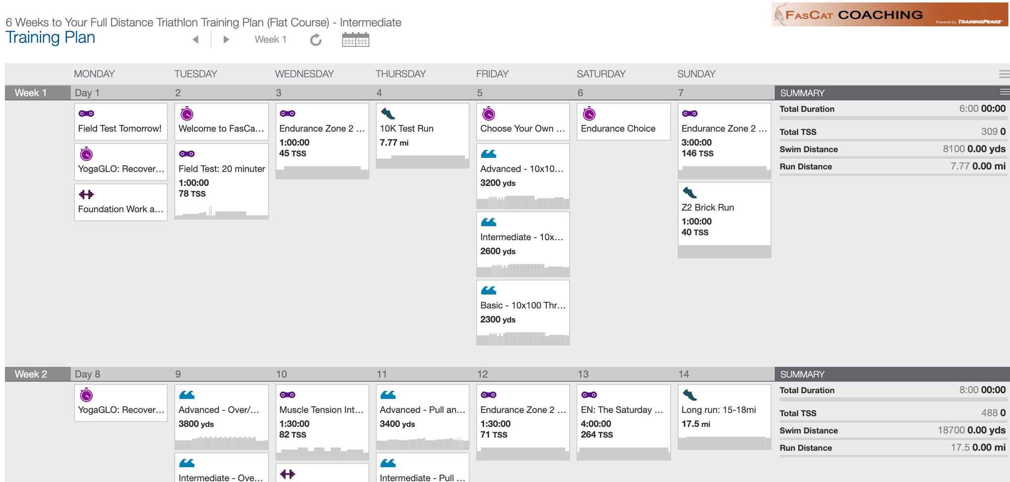 ironman training plan