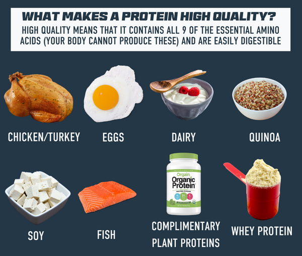 Sources of High Quality Protein Athlete 