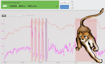 Road & Crit Intervals