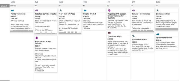 sample sprint triathlon training week