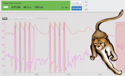 Stage Race Intervals