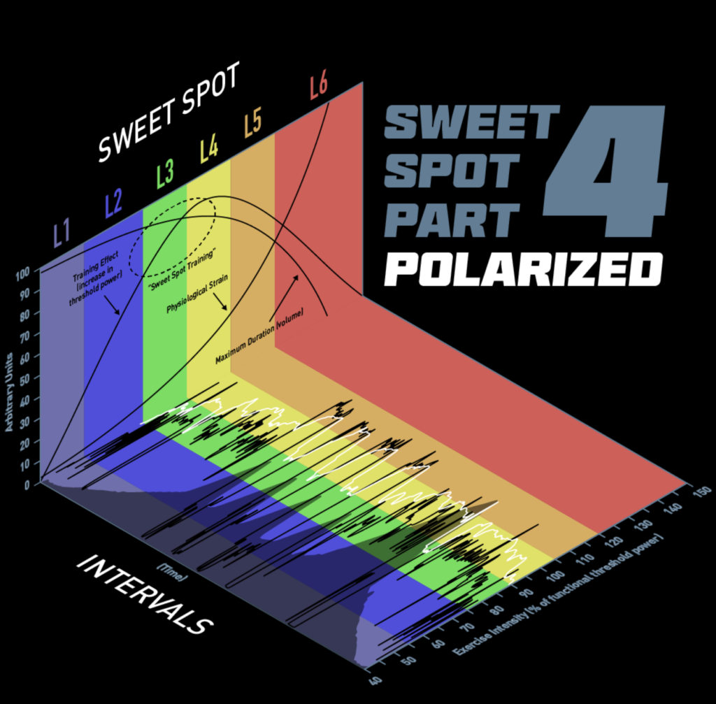 sweet-spot-polarized-training